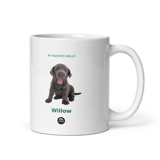 Example mug personalized with Willow’s real photo and name