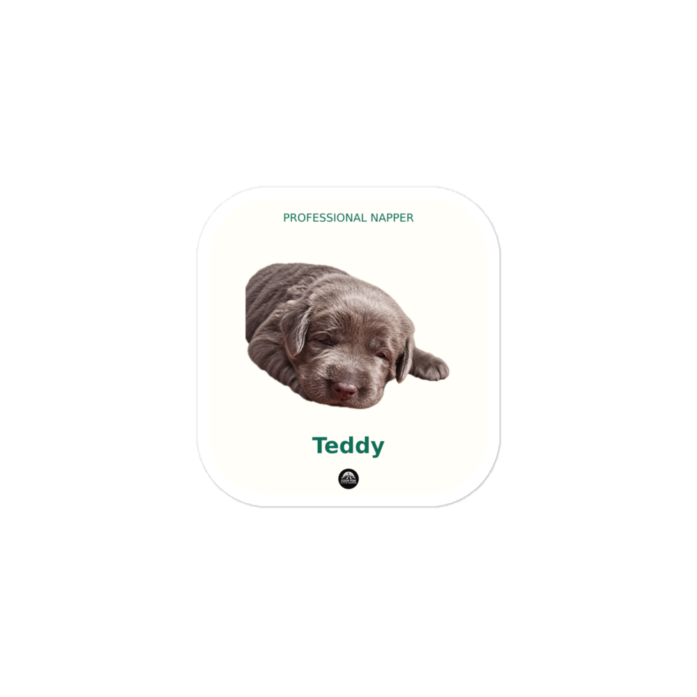 Example sticker personalized with a sleeping puppy and the sample name Teddy